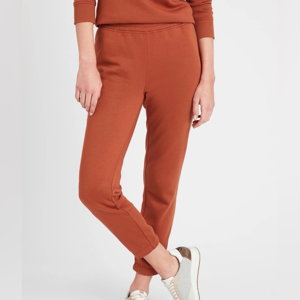 Banana Republic Factory Knit Fleece Jogger